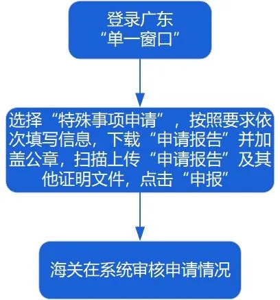 特殊申報流程